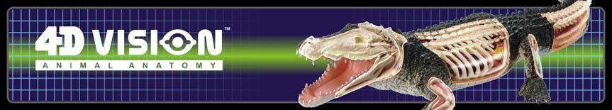 4D Vision Animal Anatomy